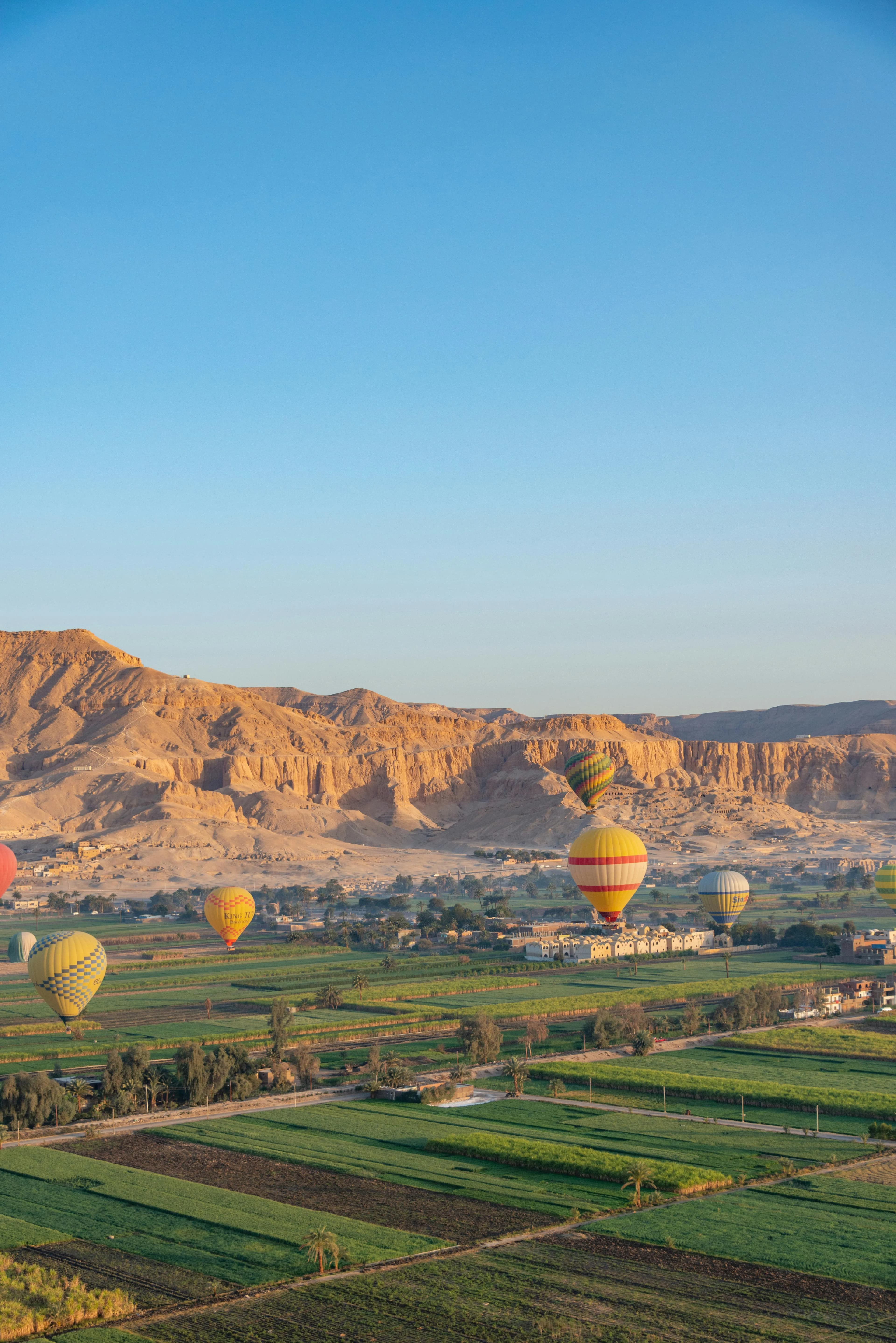 Luxor temple and Nile landscape